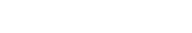 SVS Digital